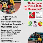 Partita di hockey in carrozzina
